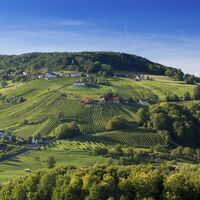 Blick von St. Anna auf die Riede Scheming