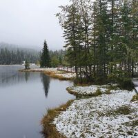 Moorlehrpfad um den See
