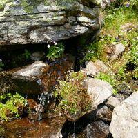 von hier fließt das Wasser bis nach Lavamünd, wo es in die Drau mündet