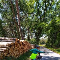 Radrundweg R 19 Herzebrock-Clarholz