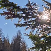 Naas_Oststeiermark
