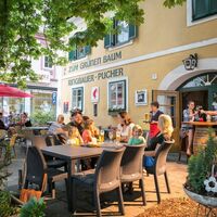 Gastgarten vom Café "Zum grünen Baum" in Friedberg
