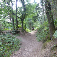 Hohlweg
