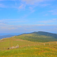 Tauchen - Hochwechsel