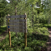 Die Rundstrecken in Hummastinvaara bei Raahe kannst du mit dem Mountainbike in jede beliebige Richtung fahren.