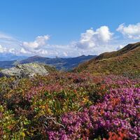 Wildschönau Lämpersberg