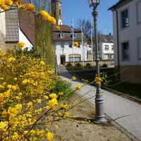 Lauterecker Schloss