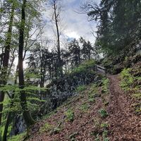 Wanderweg zwischen "Stein an der Wand" und Hochgols von Erentrudisalm
