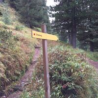 Beschilderung Zirbenweg