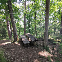 Gemütliche Pausenbank auf dem Hutpfad