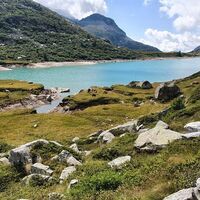 Lago Dossaccio mit Vieh