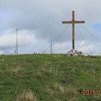 Wildalpe