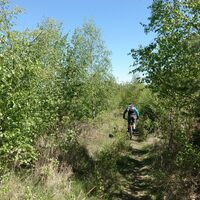 Trail nach Knobelsdorf
