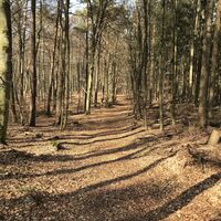Nähe Lanzenbrunner Weiher