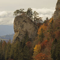 Herbst im Jura