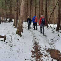 auf'n Weg zum Hohenberg