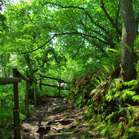 Wanderweg Stachelhardt