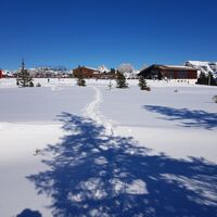 Schneeschuhtrail Prodalp-Panüöl
