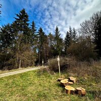 Geschicklichkeit testen