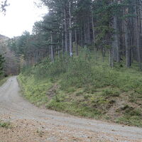 Kieneckgraben Aufstieg
