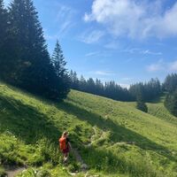 Abstieg in Richtung Sarojasattel