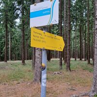 am Weg zum falschen Gipfel