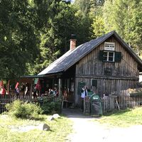 Hirnalm