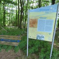 Informationstafel "Der sagenhafte Hügel Rennweiler"