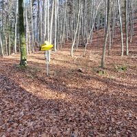 Aufstieg zur Spitzmauer