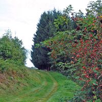 Wanderweg