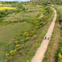 Luftaufnahme des grünen Wegs Capestang-Cruzy 2019
