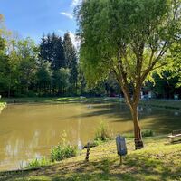Waldteich Bad Tatzmannsdorf