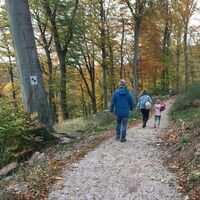 Wandern zur Ruine Meistersel