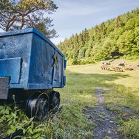 Schieferlore im Kaulenbachtal