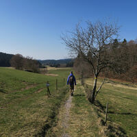 Bei Engelschwand.