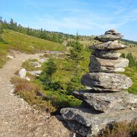 Route 50 - Wexl Trails
