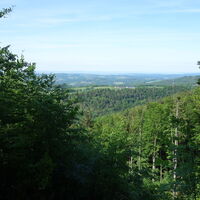 am Rückweg Schöpfl Nordseite