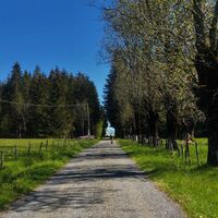 La Combe de Léchaud