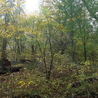 Abzweig Graf-Engelbert-Stuhl