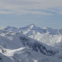 Hochwildstelle in der Ferne