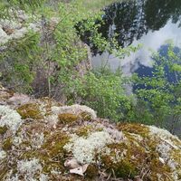 Blick vom Viitavuori auf den Vahjärvi