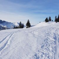 Schneeschuhwanderung Almengebiet Brandenberg