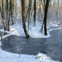 Winterspaziergang auf dem Otterbachbruch Wanderweg: Der beandernde Otterbach