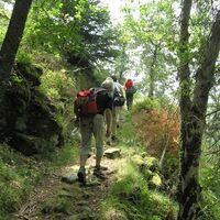 gernsbach gernsbacher runde