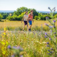 Unterwegs am Eisberg mit Blick Richtung Nagold, Hornisgrinde und weit in den Schwarzwald