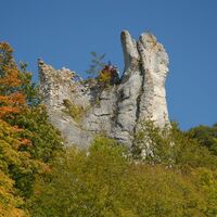 Ruine Gebrochen Gutenstein