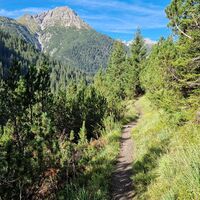 Wunderschön angelegter offizieller Weg Richtung Anhalter Hütte