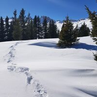 Aussicht Schneeschuhtrail Plattis