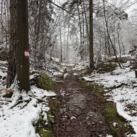Dürfte etwas holprig gewesen sein damals, zumindest an den felsigen Stellen.
