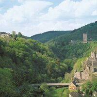 Die Manderscheider Burgen